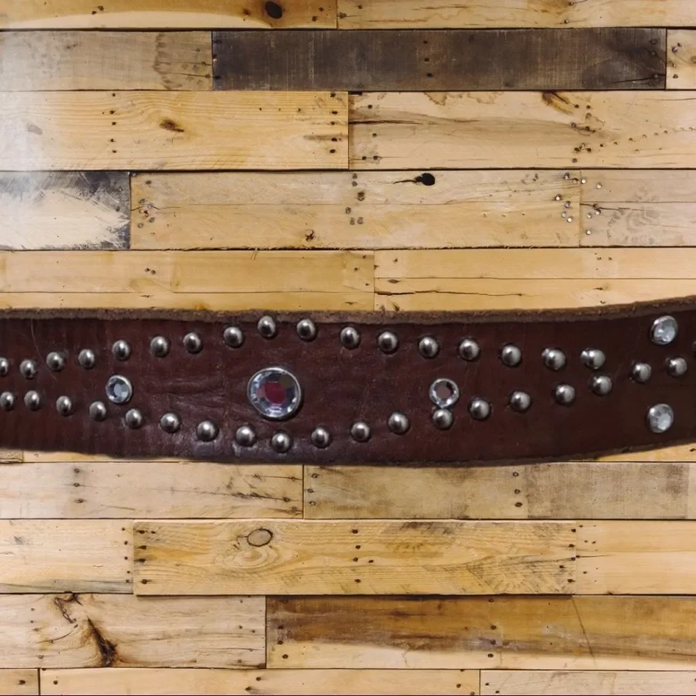 American eagle outfitters leather belt!